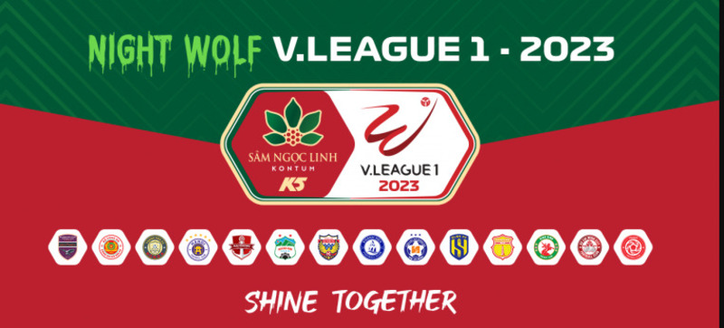 Thông tin về giả vô địch Quốc gia Việt Nam - V League